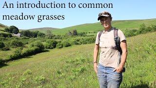 Grasses ID for beginners - Learn to identify common meadow grasses with ecologist Hannah Gibbons.