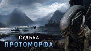 СУДЬБА ПРОТО-ЧУЖОГО  ТЕОРИЯ. ЧУЖОЙ ПРОБУЖДЕНИЕ 2019