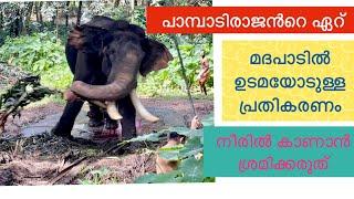 Pampady Rajan മദപാടിൽ ഏറ് ഉടമയോടുള്ള പ്രതികരണം നീരിൽ കാണാൻ പോകരുത് #vmpradeepmedia#