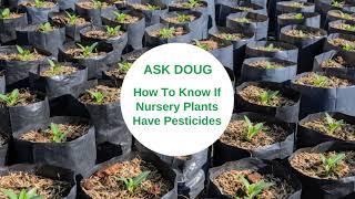 How Do I Know If Nursery Plants Have Pesticides?