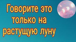 Говорите это только на растущую луну.  Тайна Жрицы 