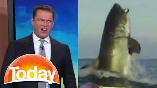 Aussie TV hosts hilarious reaction to shark footage