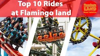 Top 10 rides at Flamingo Land Resort  2021