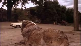 Scene Analysis - Cujo 1983