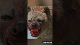 Dangerous Hyenas Hierarchy & Weird Laugh #bloodyroar