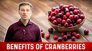 The Unique Benefits of Cranberries – Dr. Berg