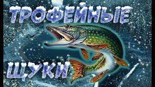 Fishing Planet PS4 # Трофейная щука  Миссии Коллекции Трофеев