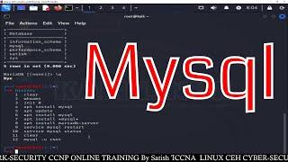 mysql  Kali Linux  How to install and configure mysql in kali linux