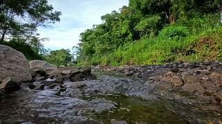 1 hour of gurgling calm flowing water in beautiful nature relaxation learning and focus