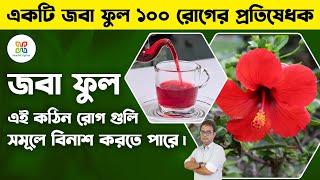 জবা ফুলে র ৮ জাদু  জবা ফুলের চা খেলে কি হয়  Hibiscus Flower Magic Tea & Health Benefits.