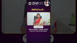 వేరికోసిల్ ఉంటే ..  Varicocele And Male Infertility  Dr C Suvarchala  Ziva Fertility