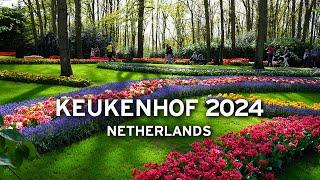  Keukenhof April 2024 - Netherlands   4K