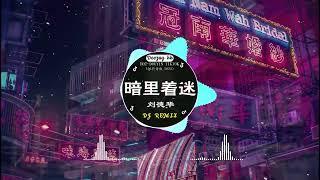 Chinese DJ remix Hot Tiktok Douyin Dj 抖音版2024 - 柯柯柯啊 - 姑娘在远方 \阿冗 - 你的答案 刘瑾睿 - 若把你  仗著 - 陳壹仟