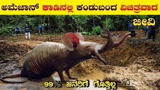 ಅಮೆಜಾನ್ ಕಾಡಿನಲ್ಲಿ ಕಂಡುಬಂದ ವಿಚಿತ್ರವಾದ ಜೀವಿ  Mysterious Creature of Amazon Forest  Amazon Animals