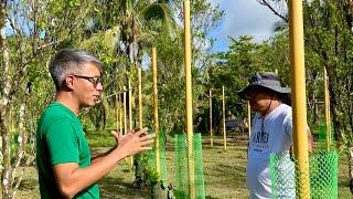 Kinalimutan na ang Paminta Farming Buhayin ulit Gamit ang New Technology