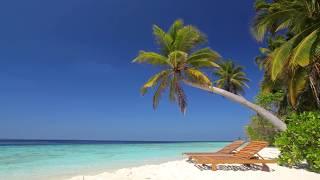  Soothing Tropical Beach View on Paradise Island Maldives with Relaxing Sounds of Calm ocean waves