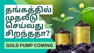 தங்கத்தில் முதலீடு செய்யலாமா? தங்கம் விலை உயர்வுக்கு காரணம் என்ன?  Facts Behind Gold Price Tamil