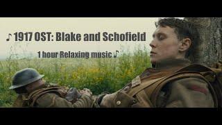 1917 OST  Blake and Schofield  1 hour Relaxing Music with opening scene