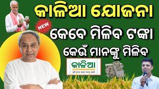 Kalia Yojana New Update 2024Kalia Yojana Beneficiary installment ReleaseKalia Yojana Beneficiary