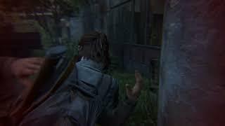 Took out your friend Rare Ellies Dialogue  The Last of Us Part II