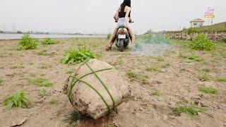 Two girls bring the stone home with scooters   TRAILER