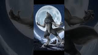 Werewolf awooooooooooo