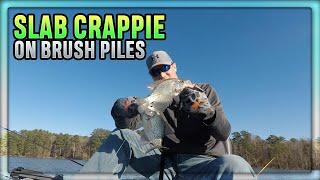 Catching Slab Crappie Early Winter on a Brush Pile