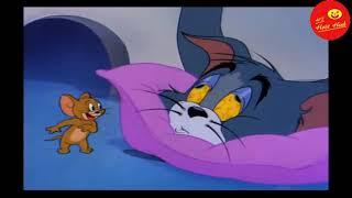 Tom and Jerry Phần 1 - Sleepy-Time Tom