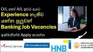 Banking job vacancies for school leavers  2024