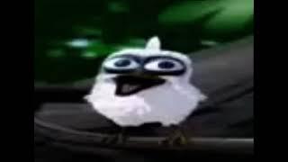 Bird screaming meme bird screaming original meme