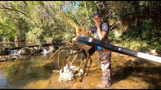 Worlds Biggest Crawfish Caught on Camera & 100 Spoons