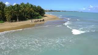 Horseback riding at the beach