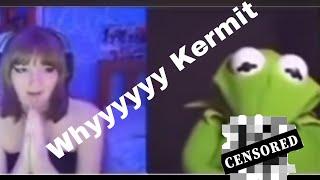 Kermit the frog shows Willy not real Willy credit to maxamili
