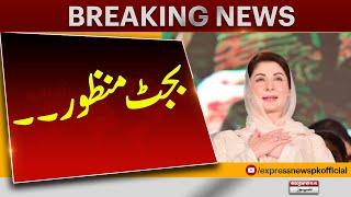 Punjab Budget Approved By Majority Votes In Punjab Assembly  Pakistan News