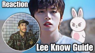 An Attempt to Stan Lee Know helpful guide to stray kids  Lee Know Reaction