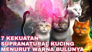 KUCING INI BIKIN KAYA DADAKAN_7 KEISTIMEWAAN KUCING MENURUT WARNA BULUNYA_KITAB PRIMBON JAWA KUNO