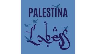 Labess - Palestina audio
