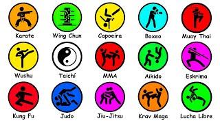 Todas las Artes Marciales Explicadas