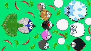MOPE.IO  IS THIS PEACOCK TRASH?  LVL UP TO ICE MONSTER Reupload