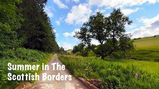 A Summer Walk & Wildlife in The Scottish Borders