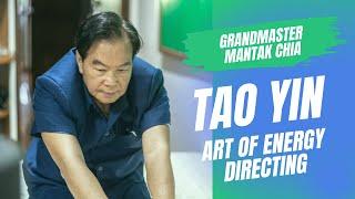️ What is Tao Yin? Taoist art of energy directing with Grandmaster Mantak Chia