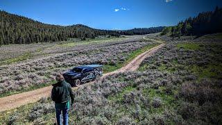 The most underrated place to boondock in the US  Dangerous Moose Encounters at camp  Overlanding