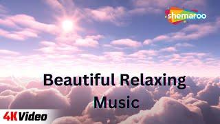 Beautiful Relaxing Music  4K Video  Meditation Music  Shemaroo Lifestyle