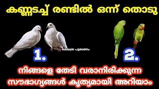 നിങ്ങളെ തേടി വരാനിരിക്കുന്ന സൗഭാഗ്യങ്ങൾ കൃത്യമായി അറിയാം. Thodukuri. തൊടുകുറി. jyothisham Malayalam