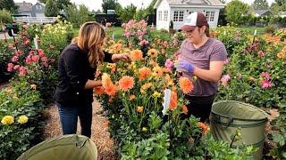 Cut Flower Garden Work Day with Monica ️  Garden Answer