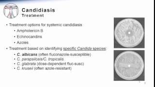 Candida Systemic Candidiasis Treatment & Prevention