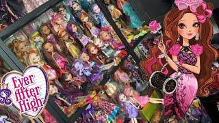 All of my Ever After High dolls - 2023 Collection Update  - 10 Year anniversary