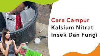 Campuran untuk Pupuk Kalsium Nitrat Insek dan Fungi