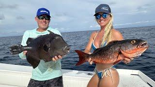 Trash Fish vs Prized Snapper Catch Clean & Cook