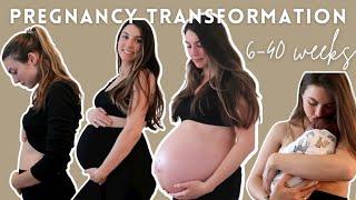 PREGNANCY TRANSFORMATION  Week By Week Belly Growth 6-40 Weeks Pregnant